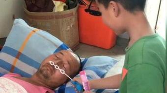 打腚视频,揭秘网络热梗背后的趣味与思考